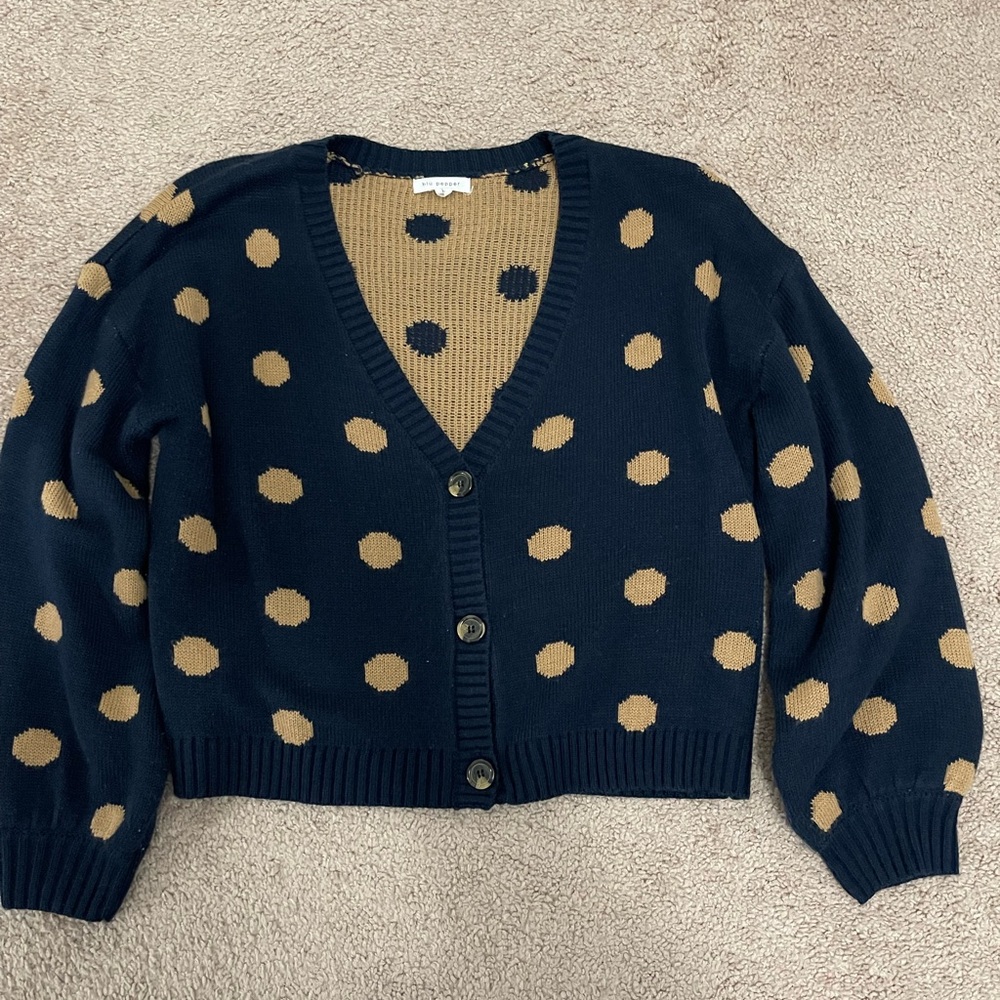 Blu Pepper Navy and Tan Polka Dot V-Neck Sweater